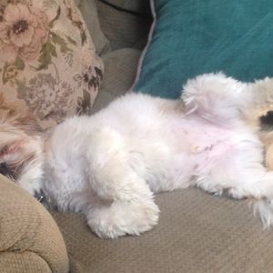 Meet your Posher, Jiovanni